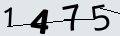 verifycode